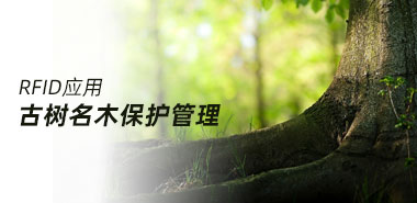 RFID标签与古树名木的碰撞
