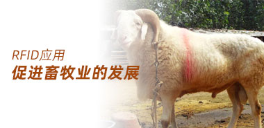 RFID技术在畜牧业的发展应用