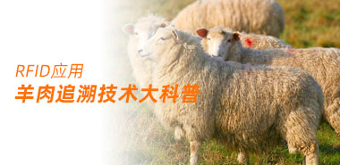 羊肉生产追溯技术大科普