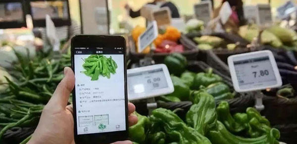 美国农业部将在动物疾病追溯中实行RFID电子标签政策法规