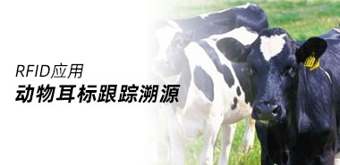 RFID动物耳标为养殖业生产提供保障