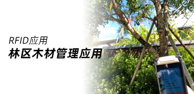 RFID林区木材仓储管理应用