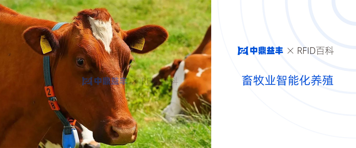 畜牧业智能化养殖