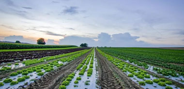 北斗导航如何让现代农业更加智能?