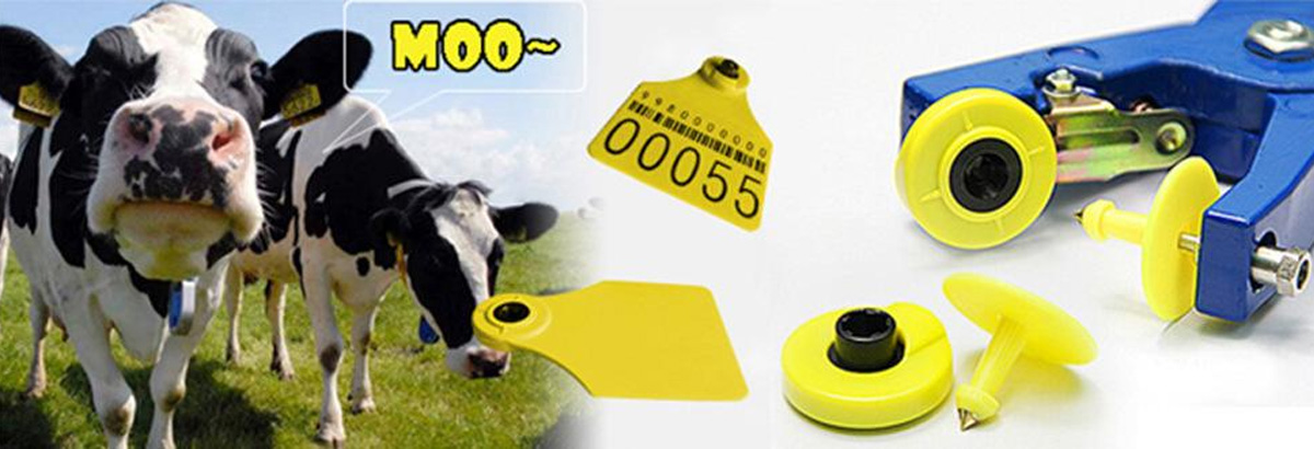 RFID动物耳标