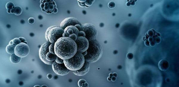 中国生物:牛痘已封存以备不时之需,若有战召必回